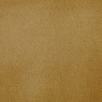 18 - Camel