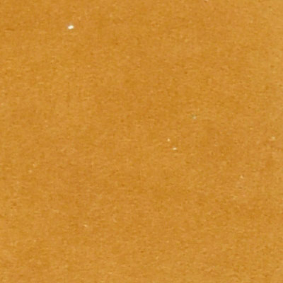 05 - Camel