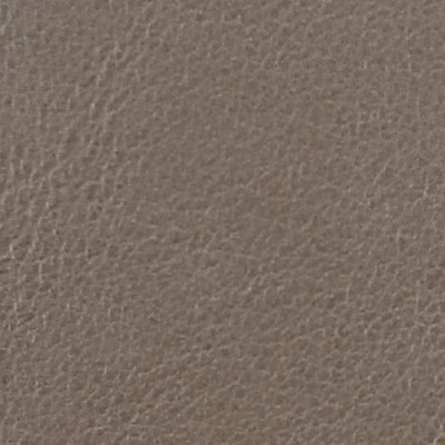 26 - Taupe