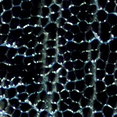 01 - Black