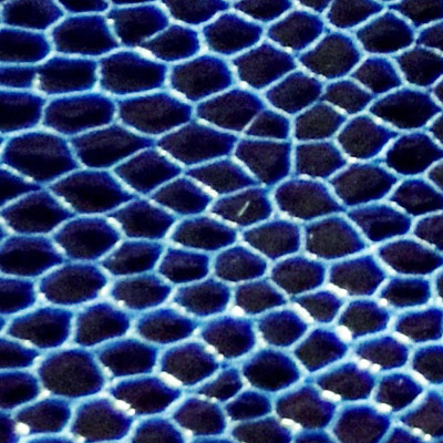 08 - Blue
